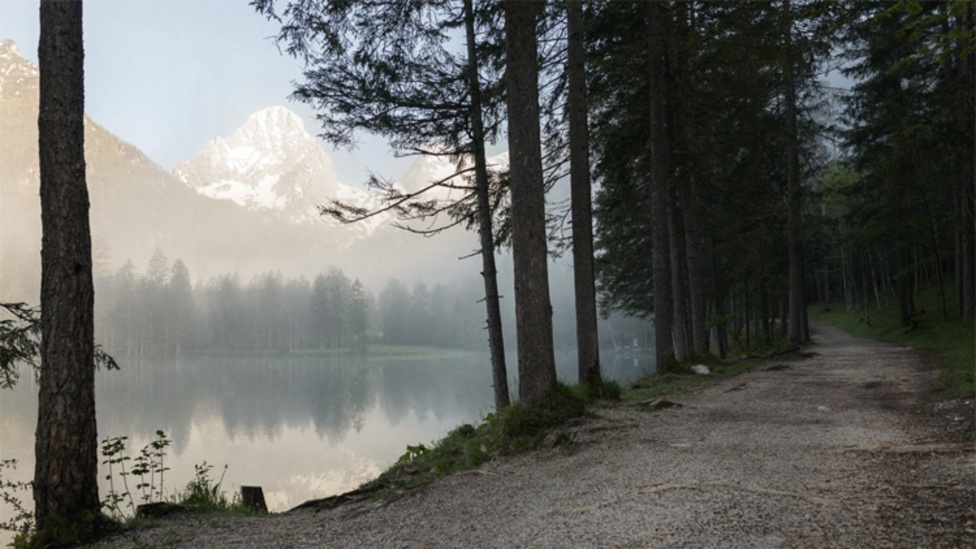 Schiederweiher Wald | Foto: TVB Pyhrn-Priel/Florian Lierzer Blick auf den Schiederweiher aus dem Wald bei Nebelstimmung.