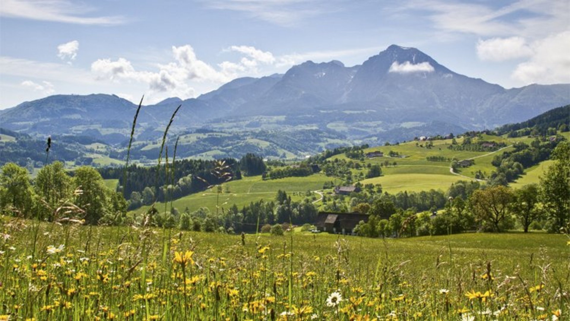 Sensenthemenweg Roßleithen | Photo: TVB Pyhrn-Priel / Sulzbacher View of a meadow of flowers and a wide view of the small and large Pyhrgas.
